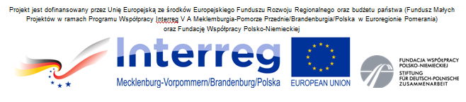 Projekt dofinansowany przez Unię Europejską - logo