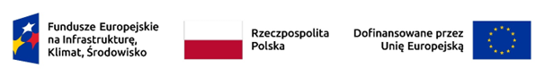 Logotypy Fundusze Europejskie Rzeczpospolita Polska Unia Europejska